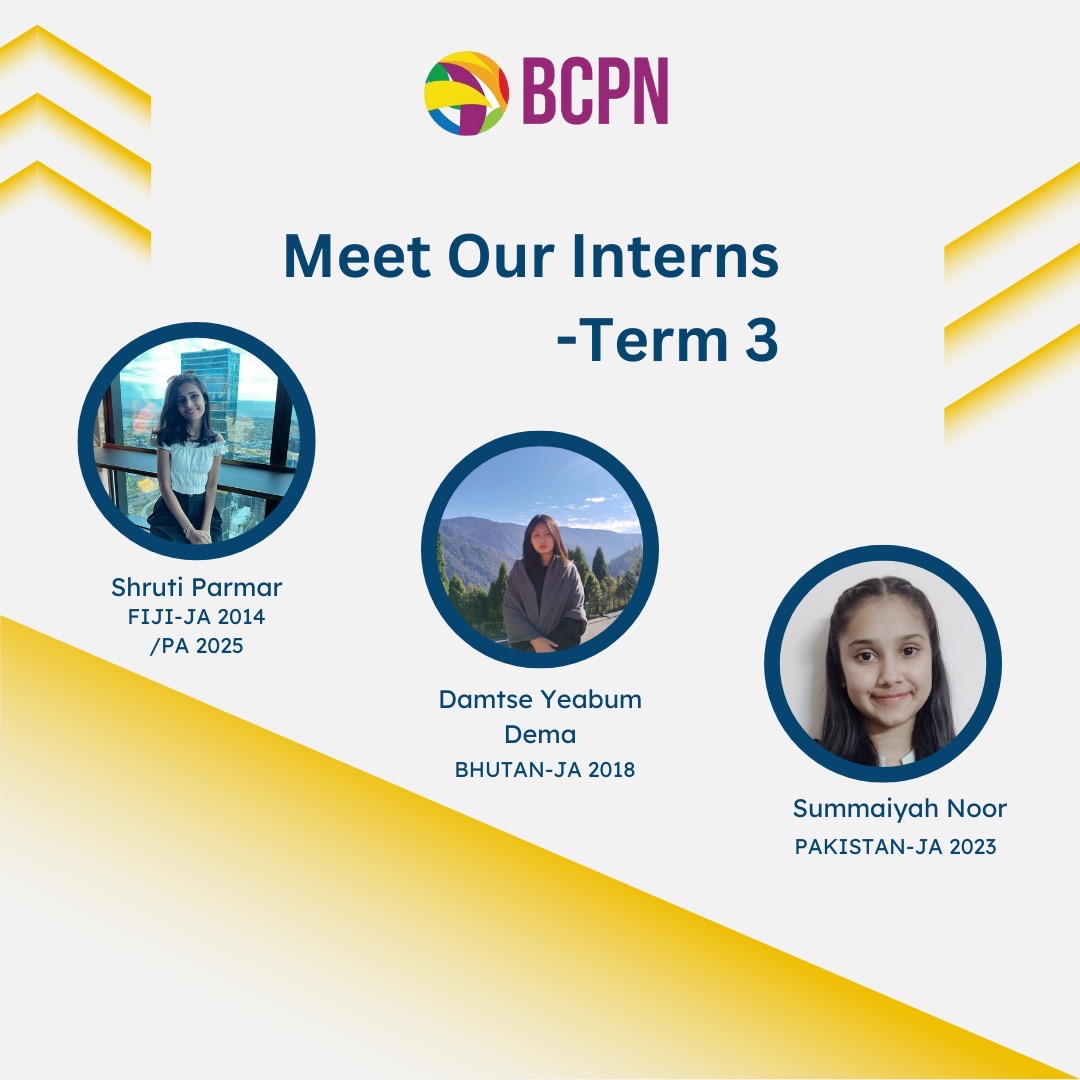 Meet our Interns, Term 3